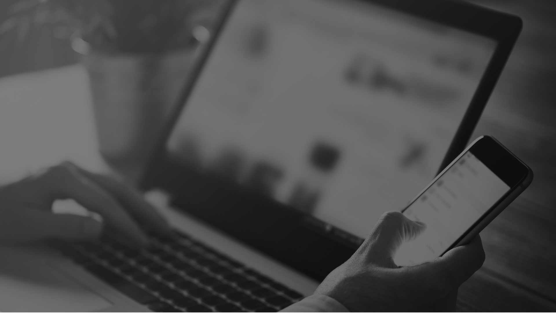 Social Media Strategy + Management